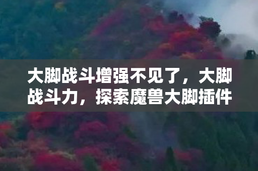 大脚战斗增强不见了，大脚战斗力，探索魔兽大脚插件的无限可能