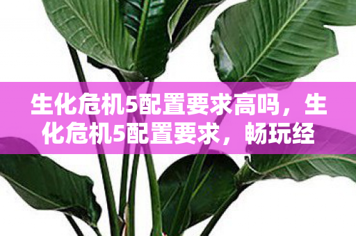 生化危机5配置要求高吗，生化危机5配置要求，畅玩经典，需何硬件？