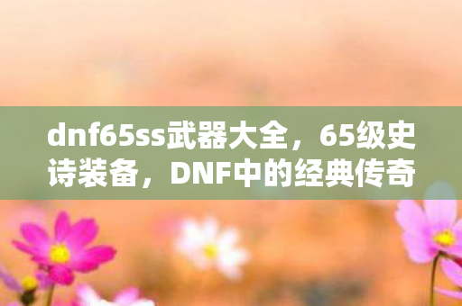 dnf65ss武器大全，65级史诗装备，DNF中的经典传奇