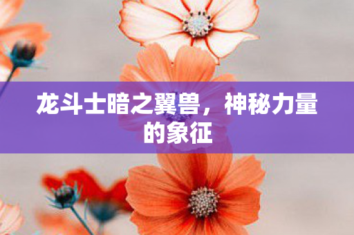 龙斗士暗之翼兽，神秘力量的象征