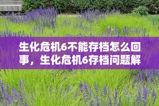 生化危机6不能存档怎么回事，生化危机6存档问题解析