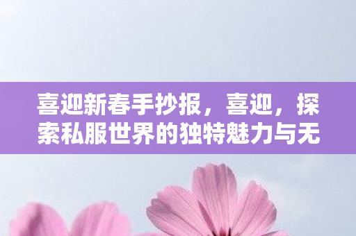 喜迎新春手抄报，喜迎，探索私服世界的独特魅力与无限可能