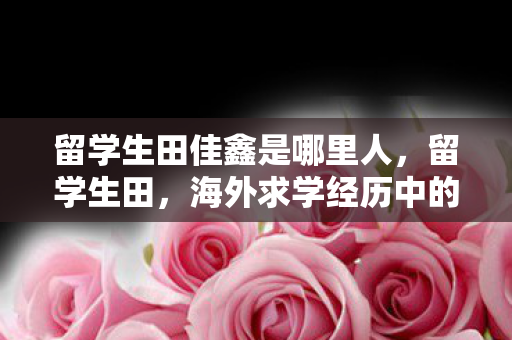 留学生田佳鑫是哪里人，留学生田，海外求学经历中的文化碰撞与自我成长