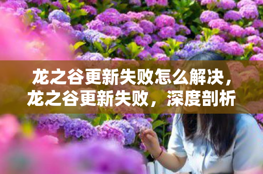 龙之谷更新失败怎么解决，龙之谷更新失败，深度剖析背后的原因与影响