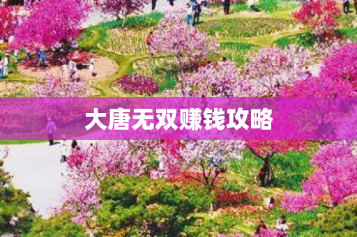 大唐无双赚钱攻略