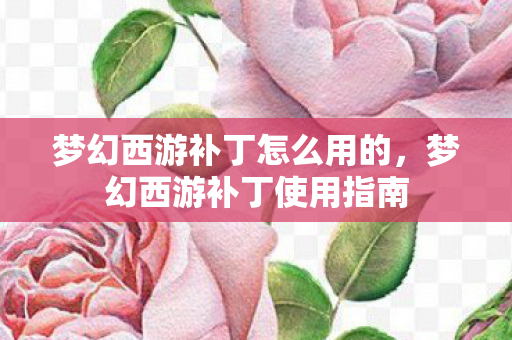 梦幻西游补丁怎么用的，梦幻西游补丁使用指南
