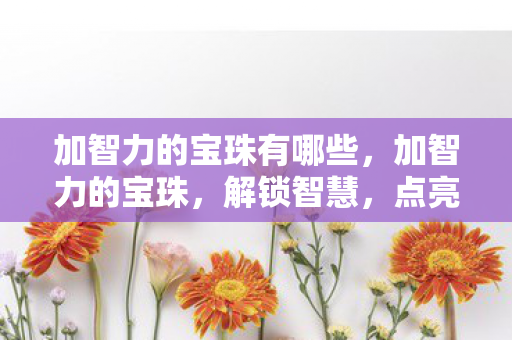 加智力的宝珠有哪些，加智力的宝珠，解锁智慧，点亮未来