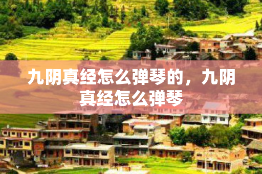 九阴真经怎么弹琴的，九阴真经怎么弹琴