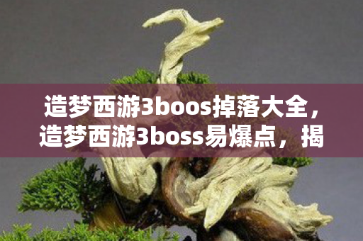 造梦西游3boos掉落大全，造梦西游3boss易爆点，揭秘游戏中的隐藏宝藏