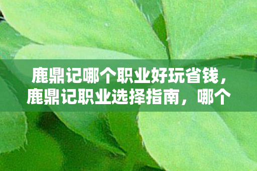 鹿鼎记哪个职业好玩省钱，鹿鼎记职业选择指南，哪个职业最适合你？