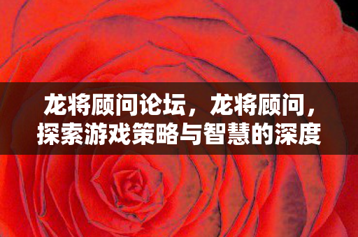 龙将顾问论坛，龙将顾问，探索游戏策略与智慧的深度对话