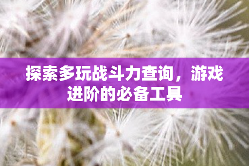 探索多玩战斗力查询，游戏进阶的必备工具