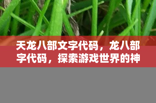 天龙八部文字代码，龙八部字代码，探索游戏世界的神秘编码