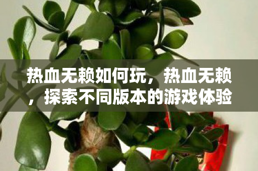 热血无赖如何玩，热血无赖，探索不同版本的游戏体验与特色