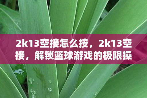 2k13空接怎么按，2k13空接，解锁篮球游戏的极限操作