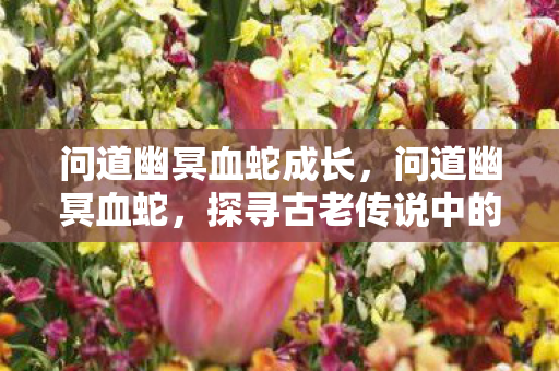 问道幽冥血蛇成长，问道幽冥血蛇，探寻古老传说中的神秘生物