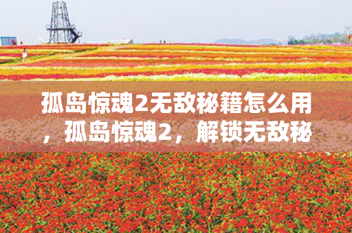 孤岛惊魂2无敌秘籍怎么用，孤岛惊魂2，解锁无敌秘籍，称霸游戏世界