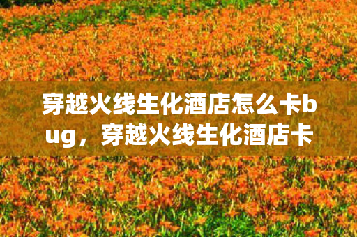 穿越火线生化酒店怎么卡bug，穿越火线生化酒店卡点攻略，掌握这些技巧，助你轻松获胜