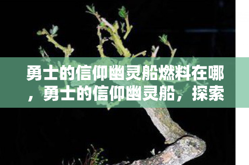 勇士的信仰幽灵船燃料在哪，勇士的信仰幽灵船，探索未知海域的神秘之旅