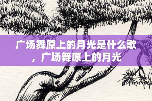 广场舞原上的月光是什么歌，广场舞原上的月光
