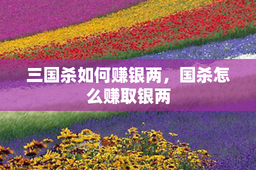 三国杀如何赚银两，国杀怎么赚取银两