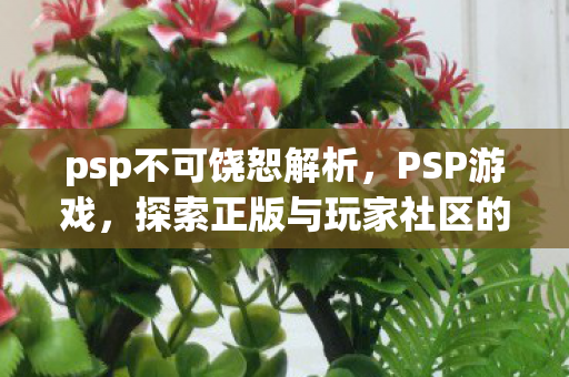 psp不可饶恕解析，PSP游戏，探索正版与玩家社区的无限可能