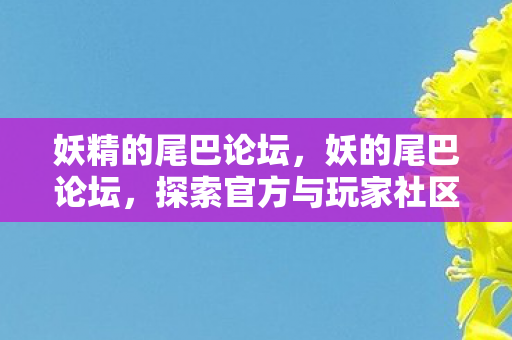 妖精的尾巴论坛，妖的尾巴论坛，探索官方与玩家社区的互动新境界