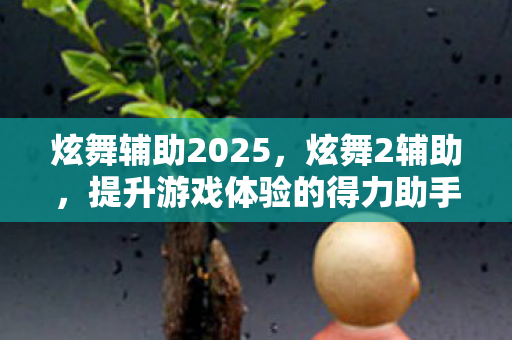 炫舞辅助2025，炫舞2辅助，提升游戏体验的得力助手