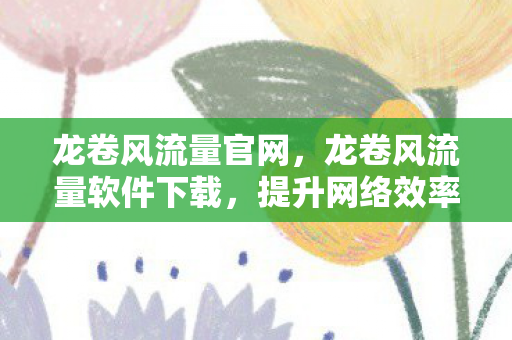 龙卷风流量官网，龙卷风流量软件下载，提升网络效率，助力企业高效运营