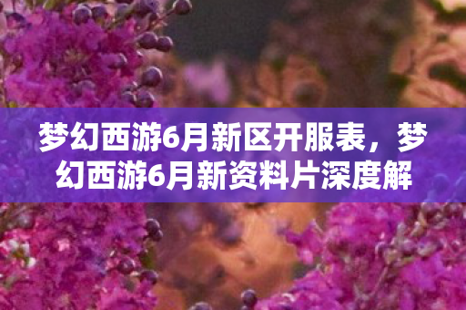 梦幻西游6月新区开服表，梦幻西游6月新资料片深度解析，全新玩法与角色调整