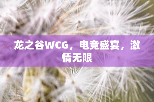 龙之谷WCG，电竞盛宴，激情无限