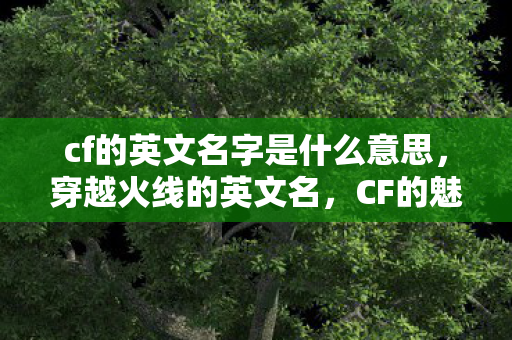 cf的英文名字是什么意思，穿越火线的英文名，CF的魅力与全球影响力