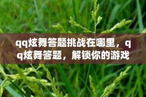 qq炫舞答题挑战在哪里，qq炫舞答题，解锁你的游戏智慧，挑战答题赢好礼！