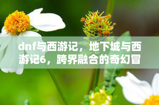 dnf与西游记，地下城与西游记6，跨界融合的奇幻冒险新篇章