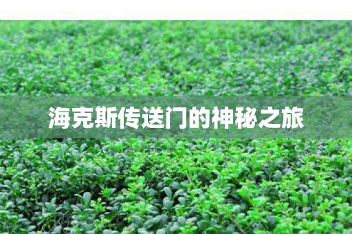 海克斯传送门的神秘之旅 海克斯传送门的神秘之旅