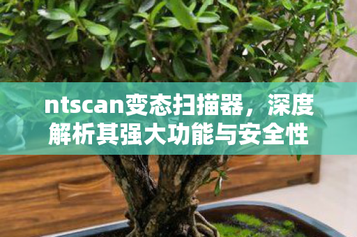 ntscan变态扫描器，深度解析其强大功能与安全性