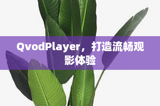 QvodPlayer，打造流畅观影体验