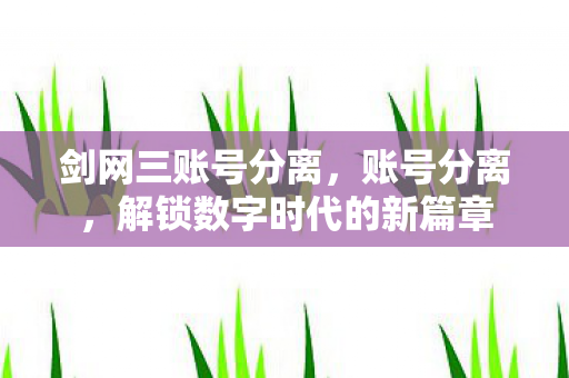 剑网三账号分离，账号分离，解锁数字时代的新篇章