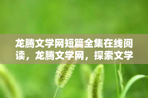 龙腾文学网短篇全集在线阅读，龙腾文学网，探索文学创作的无限可能