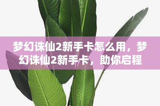 梦幻诛仙2新手卡怎么用，梦幻诛仙2新手卡，助你启程，畅游奇幻世界