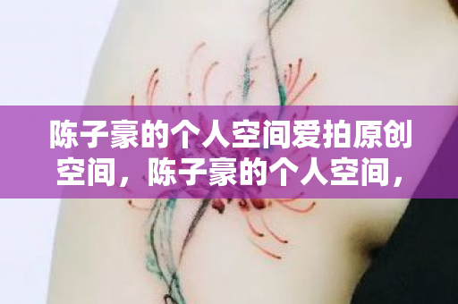 陈子豪的个人空间爱拍原创空间，陈子豪的个人空间，探索游戏世界的无限可能