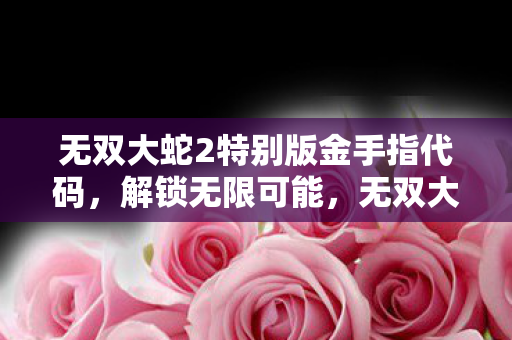 无双大蛇2特别版金手指代码，解锁无限可能，无双大蛇2特别版金手指秘籍