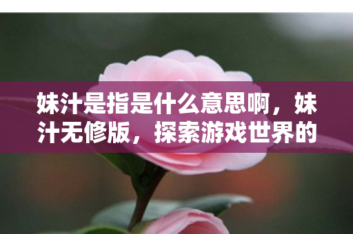 妹汁是指是什么意思啊，妹汁无修版，探索游戏世界的独特魅力