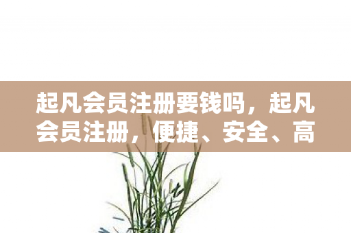 起凡会员注册要钱吗，起凡会员注册，便捷、安全、高效的注册体验