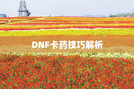 DNF卡药技巧解析