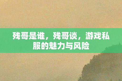 残哥是谁，残哥谈，游戏私服的魅力与风险