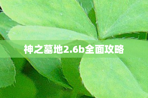 神之墓地2.6b全面攻略