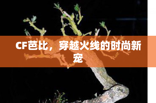 CF芭比,穿越火线的时尚新宠 CF芭比,穿越火线的时尚新宠