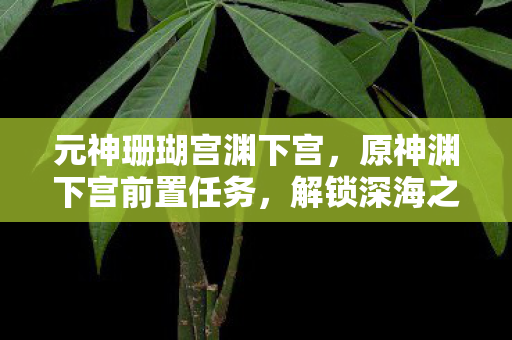 元神珊瑚宫渊下宫，原神渊下宫前置任务，解锁深海之谜的钥匙