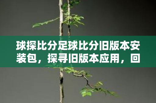 球探比分足球比分旧版本安装包，探寻旧版本应用，回忆与情怀的交织